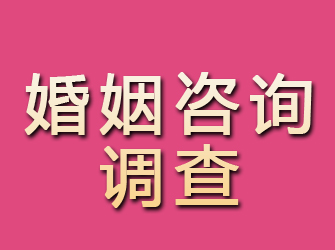 新野婚姻咨询调查